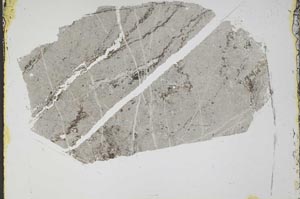 Plane Polarized, S44639