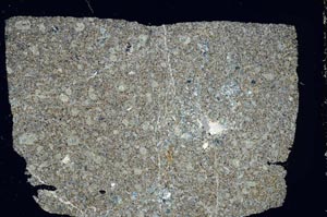 Cross Polarized, S44641