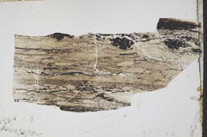 Plane Polarized, S44660