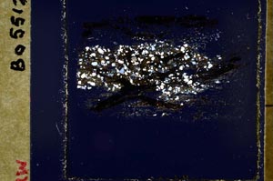 Cross Polarized, S44661