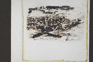 Plane Polarized, S44661