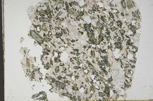 Plane Polarized, S44675