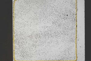 Plane Polarized, S44678/B