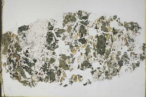 Plane Polarized, S44680