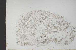 Plane Polarized, S44686