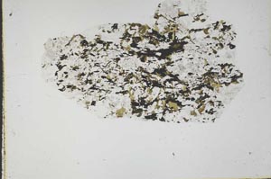 Plane Polarized, S44688