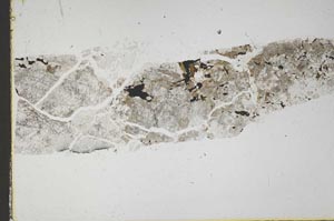 Plane Polarized, S44690