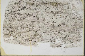Plane Polarized, S44695