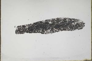 Plane Polarized, S44696