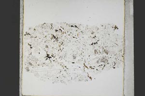 Plane Polarized, S44716