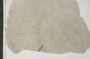 Plane Polarized, S44819
