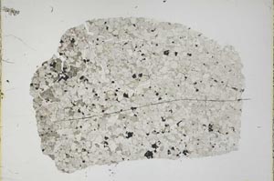 Plane Polarized, S44924