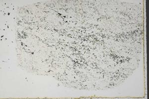 Plane Polarized, S44925