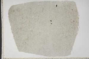 Plane Polarized, S44940
