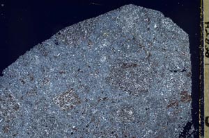 Cross Polarized, S44944