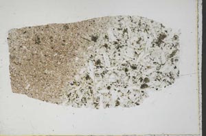 Plane Polarized, S44962