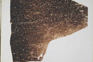 Plane Polarized, S44967