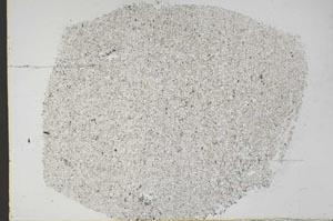 Plane Polarized, S44970