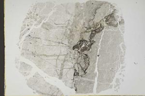 Plane Polarized, S45098