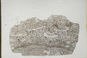 Plane Polarized, S45099