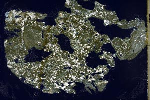 Cross Polarized, S45100