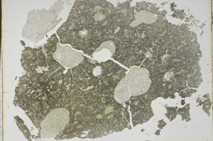 Plane Polarized, S45105