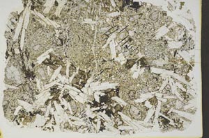 Plane Polarized, S45108