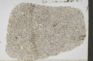 Plane Polarized, S45115