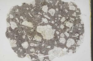 Plane Polarized, S45122