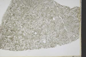 Plane Polarized, S45140