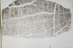Plane Polarized, S45143