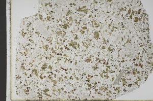 Plane Polarized, S45149