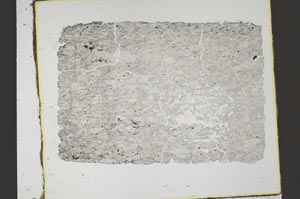 Plane Polarized, S45162