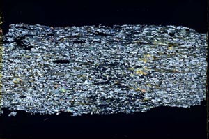 Cross Polarized, S45163