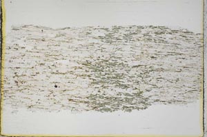 Plane Polarized, S45163