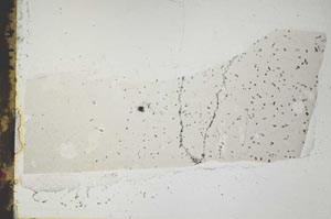 Plane Polarized, S45222