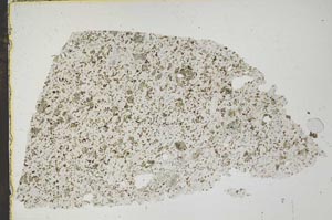 Plane Polarized, S45223