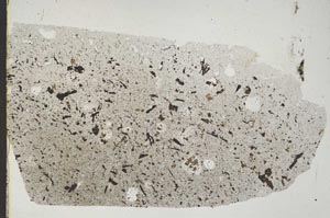 Plane Polarized, S45226
