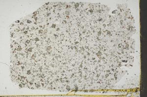 Plane Polarized, S45233