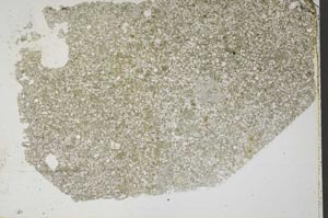 Plane Polarized, S45239