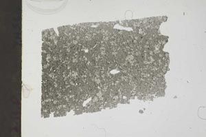 Plane Polarized, S45243