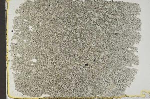 Plane Polarized, S45245