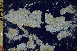 Cross Polarized, S45299