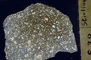 Cross Polarized, S45304