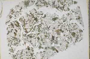 Plane Polarized, S45344