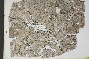 Plane Polarized, S45348