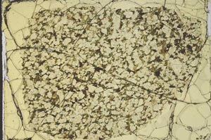 Plane Polarized, S45353