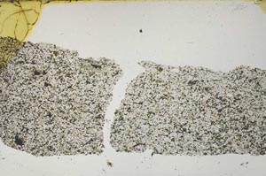 Plane Polarized, S45363