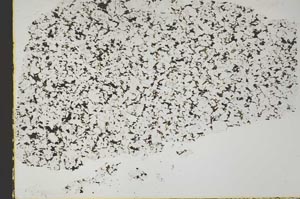 Plane Polarized, S45369