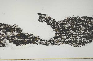 Plane Polarized, S45375